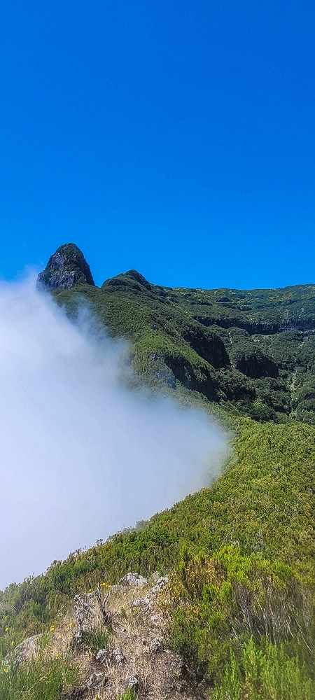 24 June 2024 On old cleared tracks to Monte do Trigo — The superb viewing platform on Monte de Trigo — photo 3