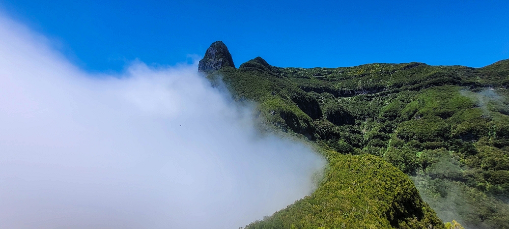 24 June 2024 On old cleared tracks to Monte do Trigo — The superb viewing platform on Monte de Trigo — photo 4