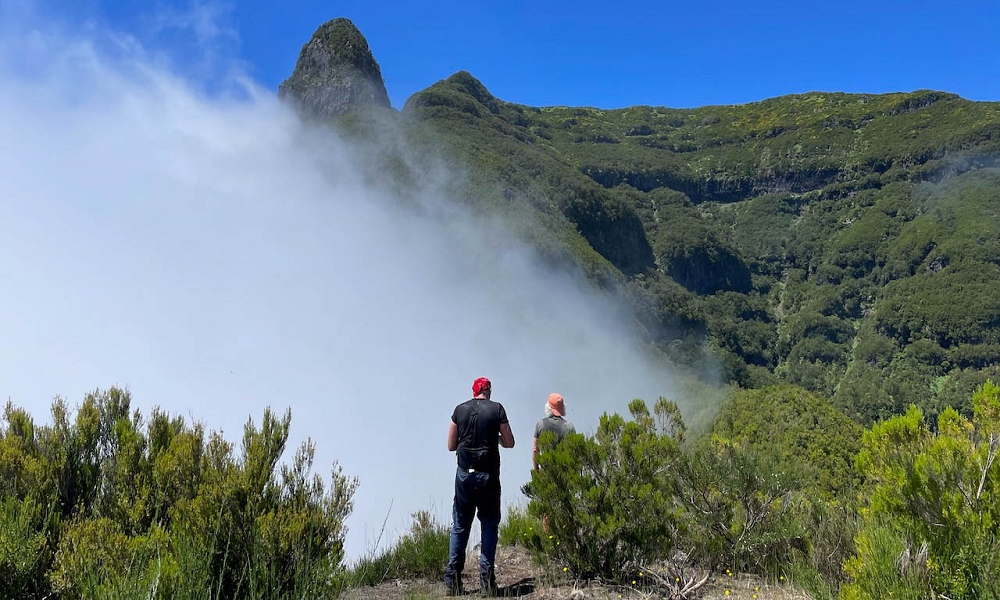 24 June 2024 On old cleared tracks to Monte do Trigo — The superb viewing platform on Monte de Trigo — photo 5