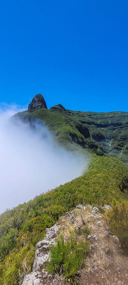 24 June 2024 On old cleared tracks to Monte do Trigo — The superb viewing platform on Monte de Trigo — photo 6