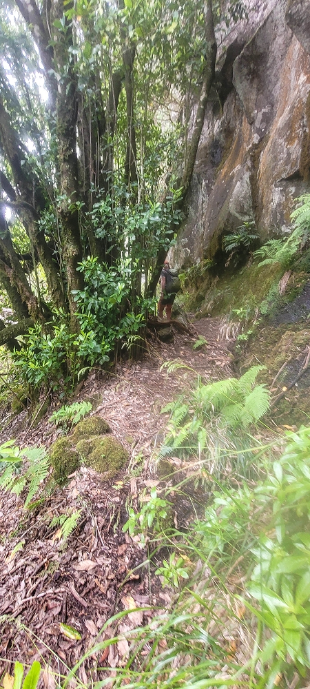24 June 2024 On old cleared tracks to Monte do Trigo — The descent as far as the ladder — photo 1