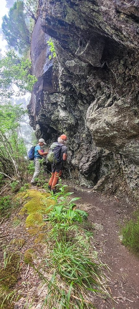 24 June 2024 On old cleared tracks to Monte do Trigo — The descent as far as the ladder — photo 5