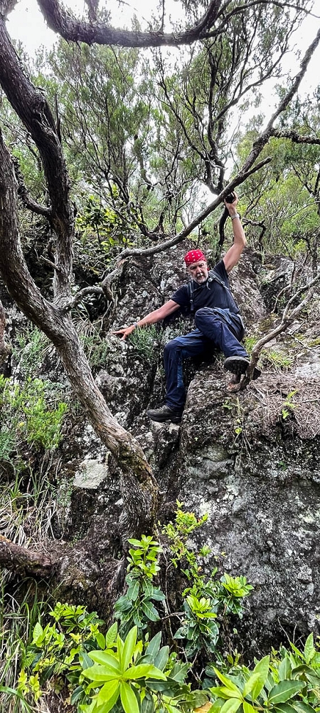 24 June 2024 On old cleared tracks to Monte do Trigo — The descent as far as the ladder — photo 10