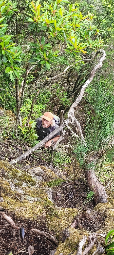 24 June 2024 On old cleared tracks to Monte do Trigo — The ladder — photo 1