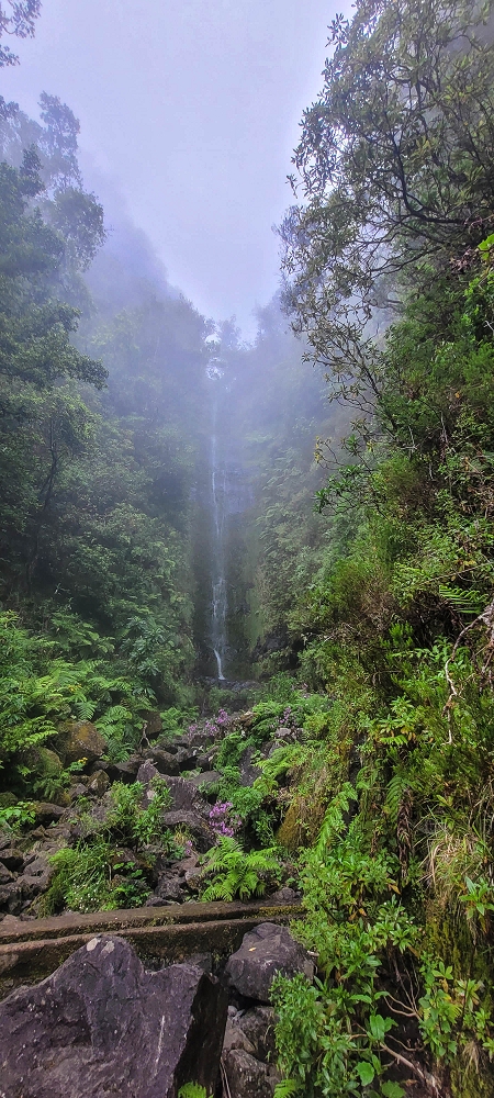 24 June 2024 On old cleared tracks to Monte do Trigo — Back to the Encumeada pass on the Norte — photo 4