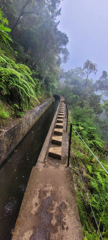 24 June 2024 On old cleared tracks to Monte do Trigo — Back to the Encumeada pass on the Norte — photo 7