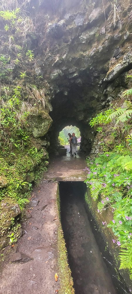24 June 2024 On old cleared tracks to Monte do Trigo — Back to the Encumeada pass on the Norte — photo 8