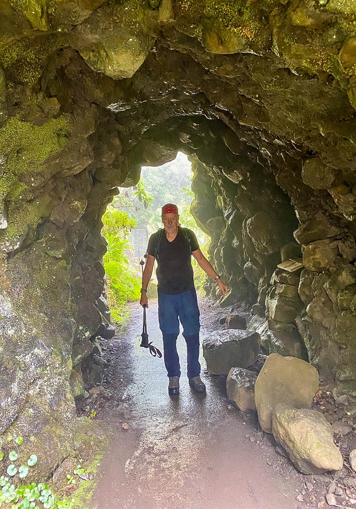 24 June 2024 On old cleared tracks to Monte do Trigo — Back to the Encumeada pass on the Norte — photo 9
