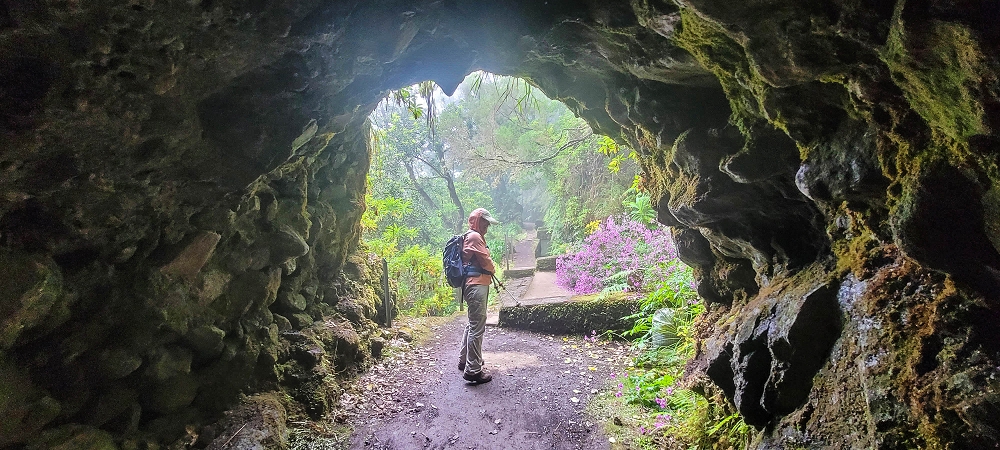 24 June 2024 On old cleared tracks to Monte do Trigo — Back to the Encumeada pass on the Norte — photo 11