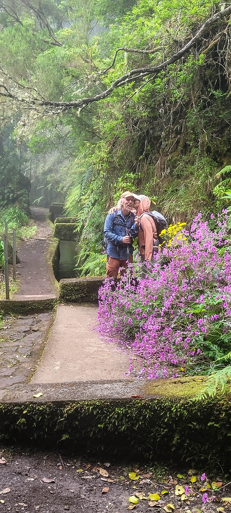 24 June 2024 On old cleared tracks to Monte do Trigo — Back to the Encumeada pass on the Norte — photo 13