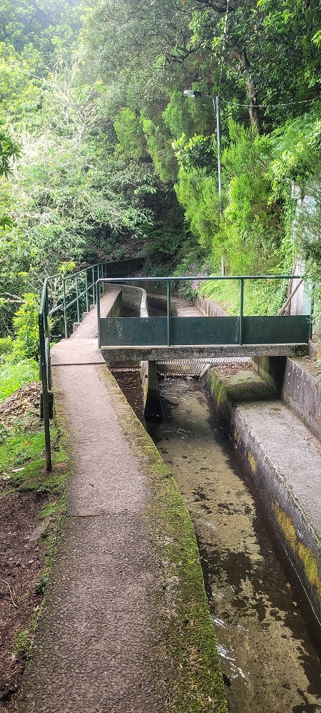 24 June 2024 On old cleared tracks to Monte do Trigo — Back to the Encumeada pass on the Norte — photo 15