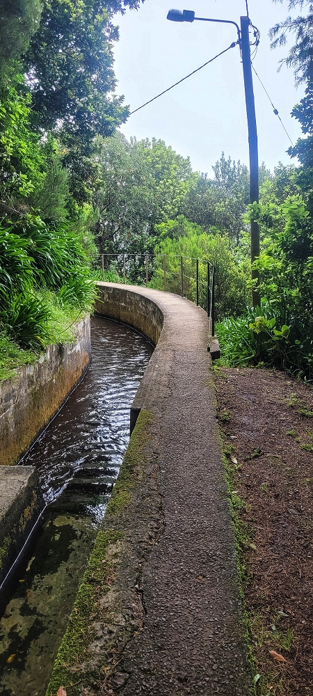 24 June 2024 On old cleared tracks to Monte do Trigo — Back to the Encumeada pass on the Norte — photo 16