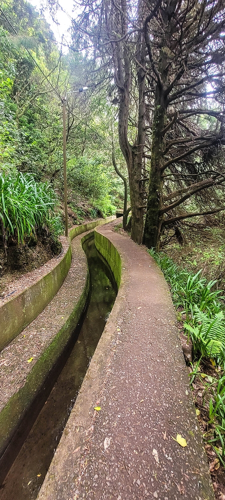 24 June 2024 On old cleared tracks to Monte do Trigo — Back to the Encumeada pass on the Norte — photo 17
