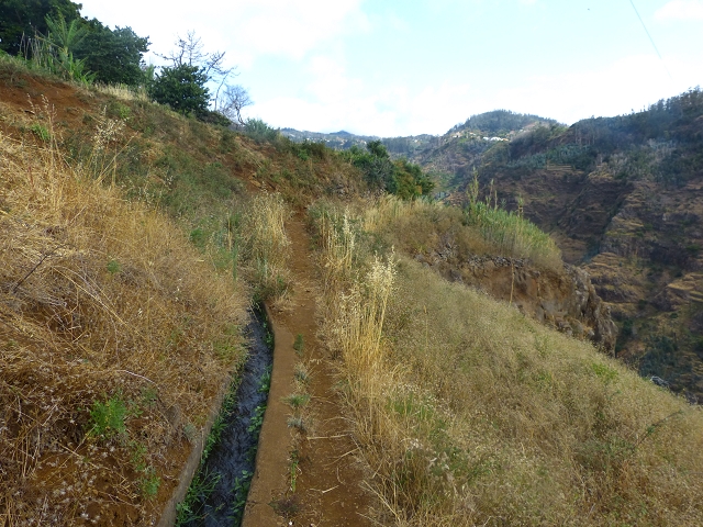 24.07.2014 Levada do Canico and Levada dos Tornos (south) — From the end to the small tunnel — photo 10