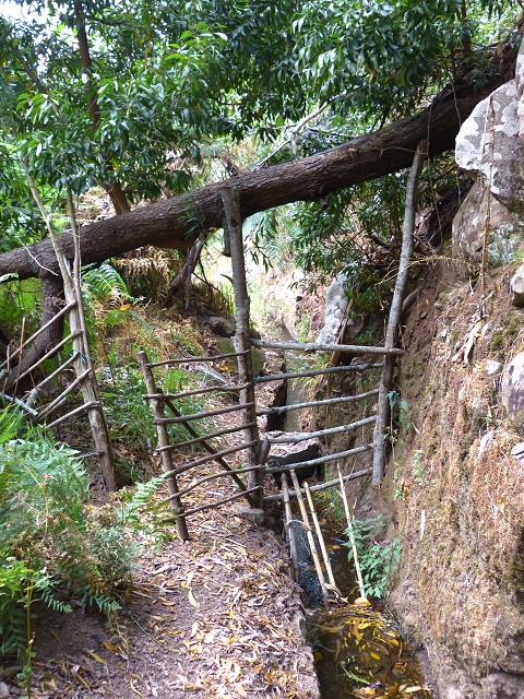 24.07.2014 Levada do Canico and Levada dos Tornos (south) — Back and ascent to the Levada dos Tornos — photo 5