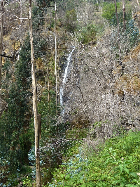 24.07.2014 Levada do Canico and Levada dos Tornos (south) — Back and ascent to the Levada dos Tornos — photo 6