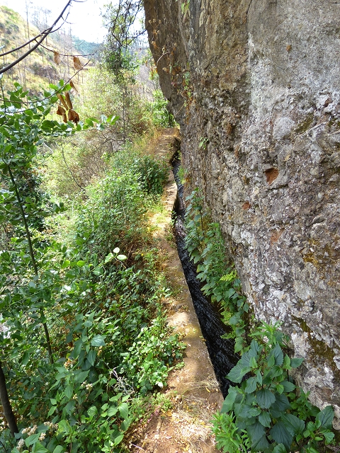 24.07.2014 Levada do Canico and Levada dos Tornos (south) — Back and ascent to the Levada dos Tornos — photo 8