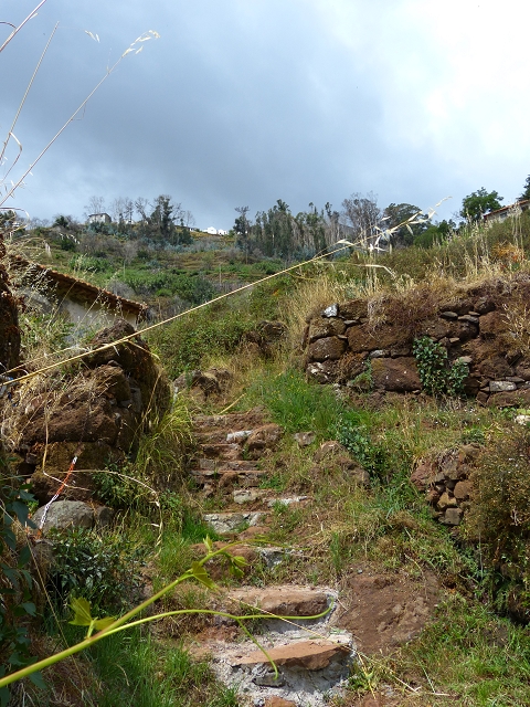 24.07.2014 Levada do Canico and Levada dos Tornos (south) — Back and ascent to the Levada dos Tornos — photo 9