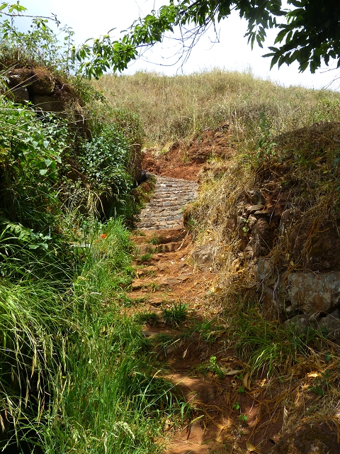 24.07.2014 Levada do Canico and Levada dos Tornos (south) — Back and ascent to the Levada dos Tornos — photo 10