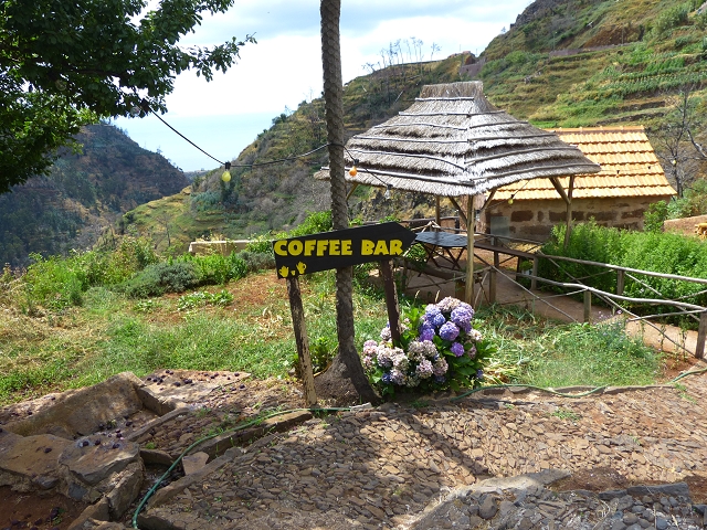 24.07.2014 Levada do Canico and Levada dos Tornos (south) — Back and ascent to the Levada dos Tornos — photo 11