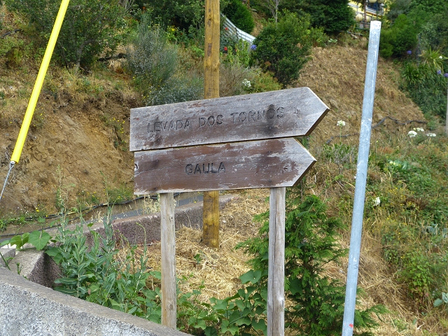 24.07.2014 Levada do Canico and Levada dos Tornos (south) — Back and ascent to the Levada dos Tornos — photo 12