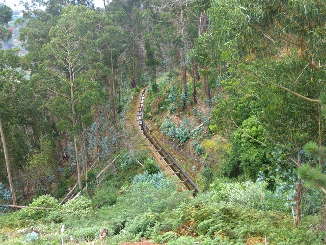 24.07.2014 Levada do Canico and Levada dos Tornos (south) — On the Levada dos Tornos — photo 1