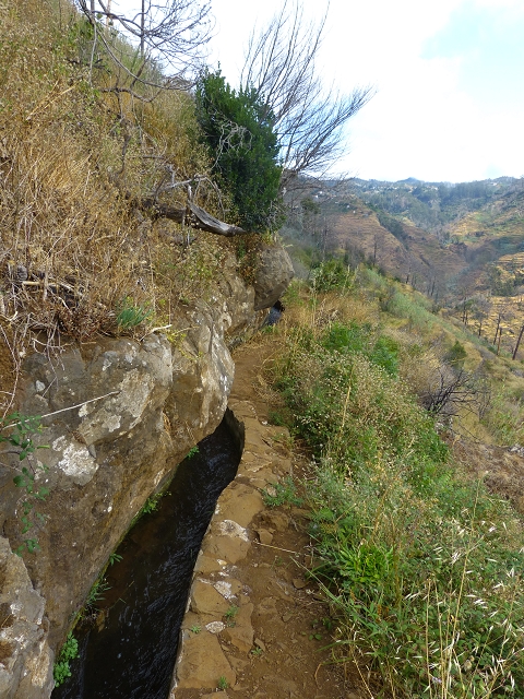 24.07.2014 Levada do Canico and Levada dos Tornos (south) — From the end to the small tunnel — photo 11