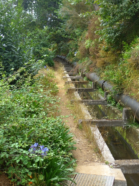 24.07.2014 Levada do Canico and Levada dos Tornos (south) — On the Levada dos Tornos — photo 3