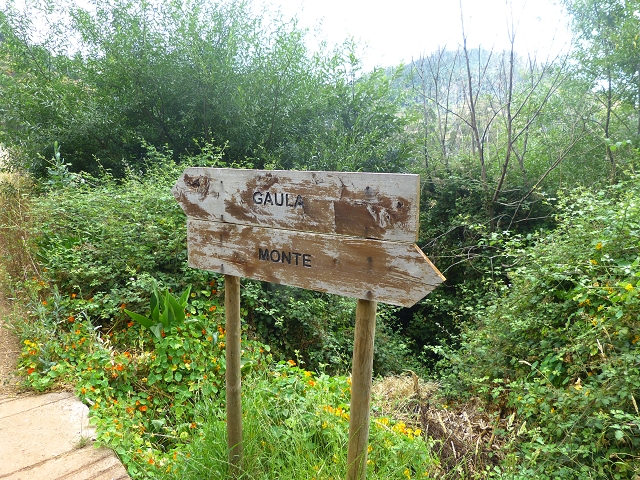 24.07.2014 Levada do Canico and Levada dos Tornos (south) — On the Levada dos Tornos — photo 4