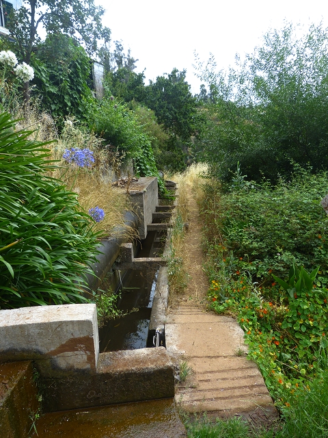 24.07.2014 Levada do Canico and Levada dos Tornos (south) — On the Levada dos Tornos — photo 5