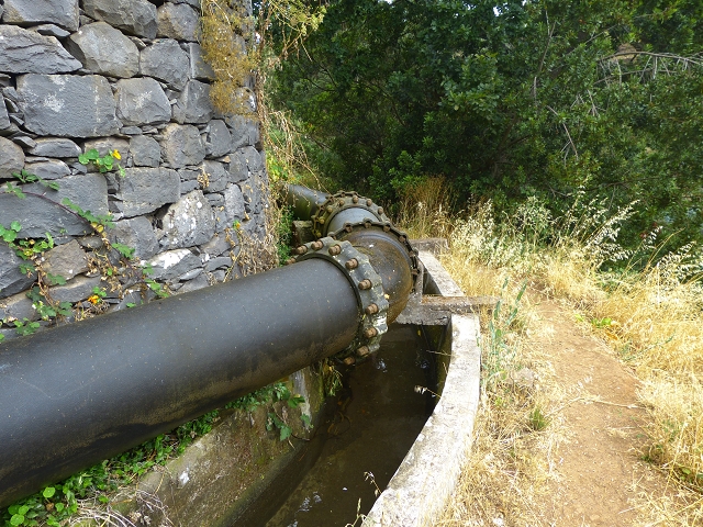 24.07.2014 Levada do Canico and Levada dos Tornos (south) — On the Levada dos Tornos — photo 6