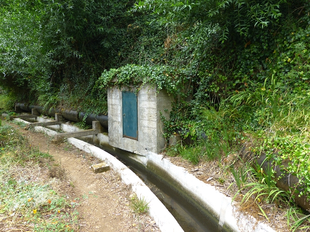 24.07.2014 Levada do Canico and Levada dos Tornos (south) — On the Levada dos Tornos — photo 7