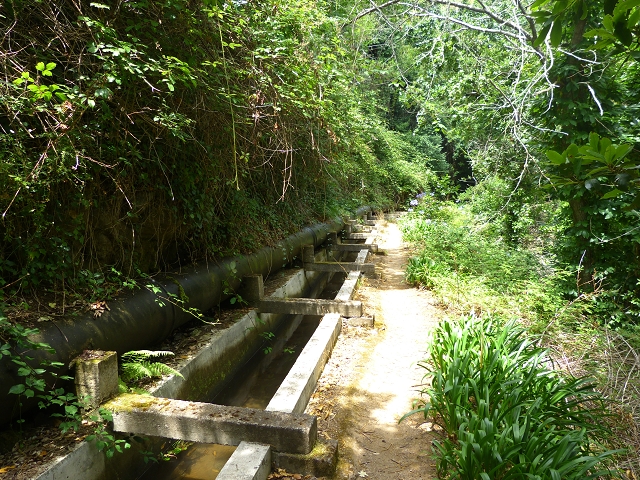 24.07.2014 Levada do Canico and Levada dos Tornos (south) — On the Levada dos Tornos — photo 8