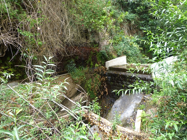 24.07.2014 Levada do Canico and Levada dos Tornos (south) — On the Levada dos Tornos — photo 10