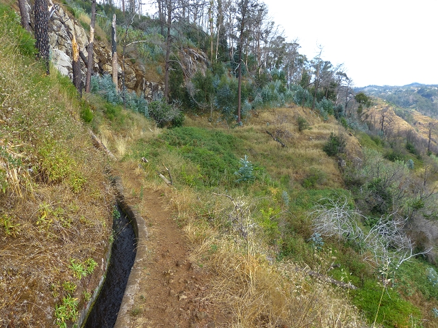 24.07.2014 Levada do Canico and Levada dos Tornos (south) — From the end to the small tunnel — photo 12