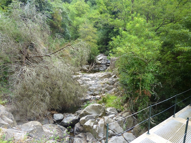 24.07.2014 Levada do Canico and Levada dos Tornos (south) — On the Levada dos Tornos — photo 15
