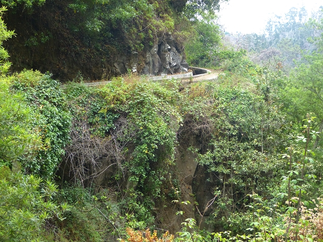 24.07.2014 Levada do Canico and Levada dos Tornos (south) — On the Levada dos Tornos — photo 16