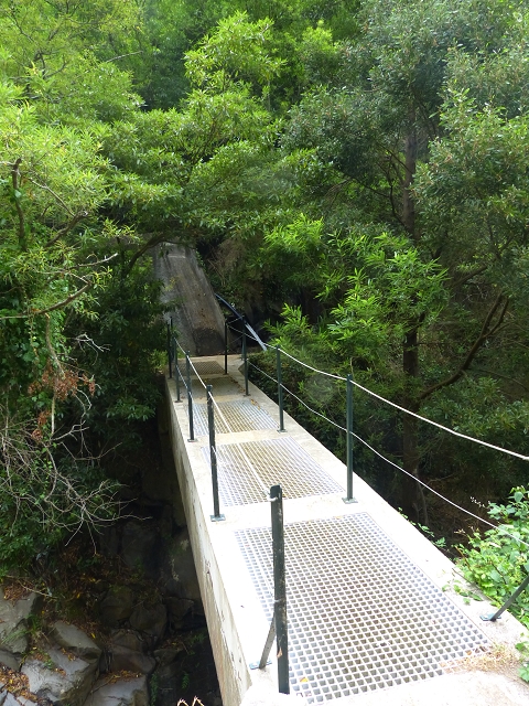 24.07.2014 Levada do Canico and Levada dos Tornos (south) — On the Levada dos Tornos — photo 18