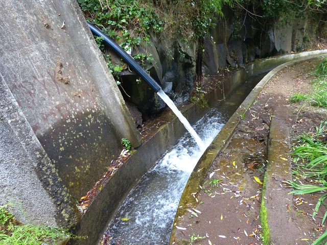 24.07.2014 Levada do Canico and Levada dos Tornos (south) — On the Levada dos Tornos — photo 19