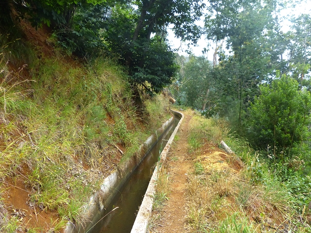 24.07.2014 Levada do Canico and Levada dos Tornos (south) — On the Levada dos Tornos — photo 20