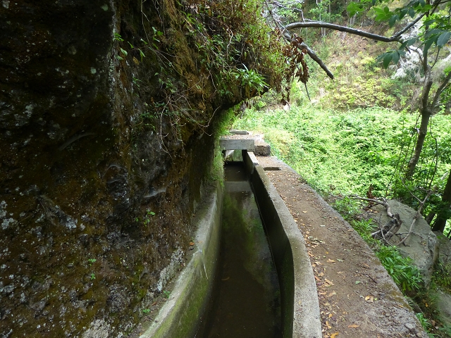 24.07.2014 Levada do Canico and Levada dos Tornos (south) — On the Levada dos Tornos — photo 22