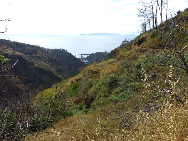 24.07.2014 Levada do Canico and Levada dos Tornos (south) — From the end to the small tunnel — photo 13