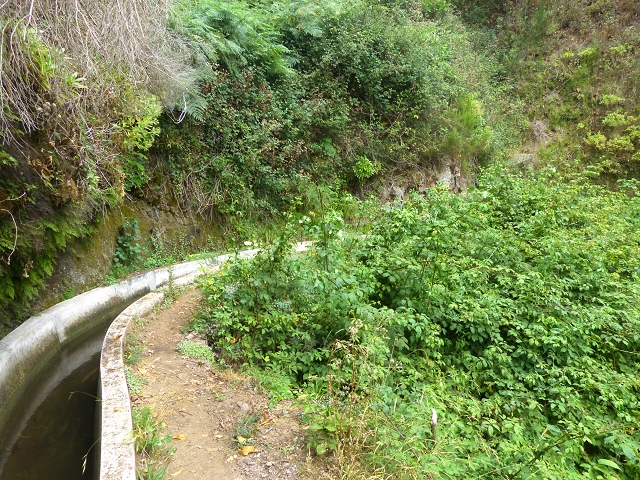 24.07.2014 Levada do Canico and Levada dos Tornos (south) — On the Levada dos Tornos — photo 23