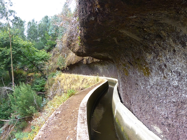 24.07.2014 Levada do Canico and Levada dos Tornos (south) — On the Levada dos Tornos — photo 24