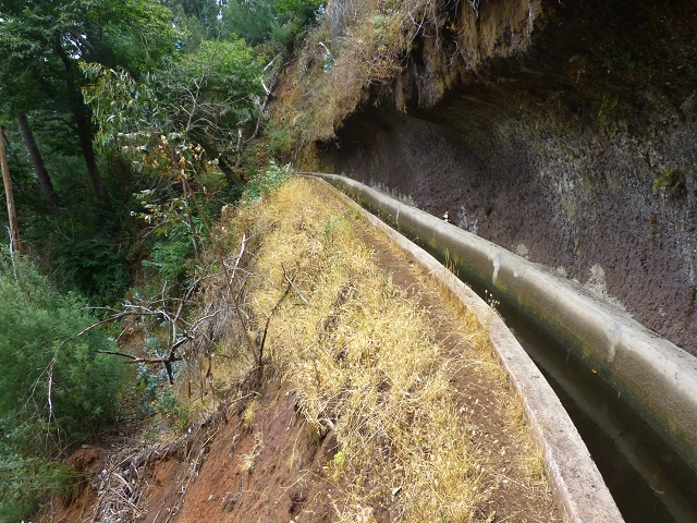 24.07.2014 Levada do Canico and Levada dos Tornos (south) — On the Levada dos Tornos — photo 25