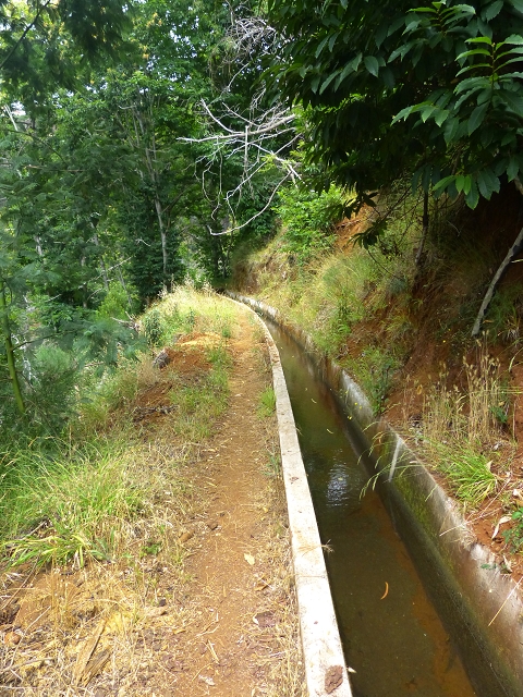 24.07.2014 Levada do Canico and Levada dos Tornos (south) — On the Levada dos Tornos — photo 26