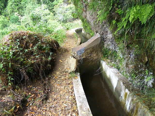 24.07.2014 Levada do Canico and Levada dos Tornos (south) — On the Levada dos Tornos — photo 28
