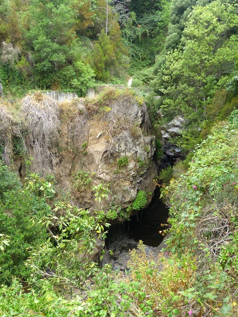 24.07.2014 Levada do Canico and Levada dos Tornos (south) — On the Levada dos Tornos — photo 29