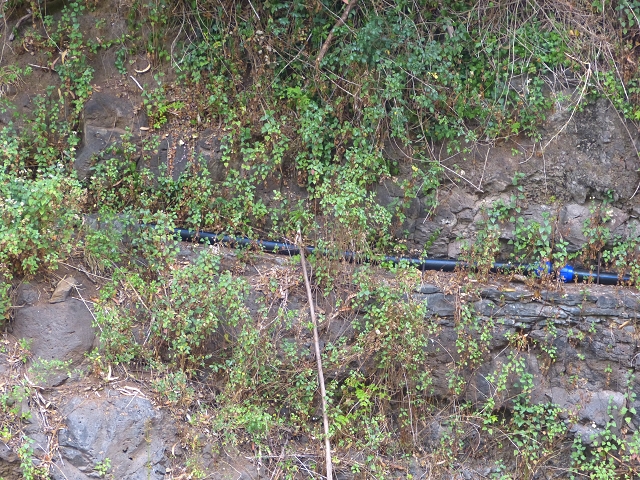 24.07.2014 Levada do Canico and Levada dos Tornos (south) — Side trip to the Reservatorio do Porto Novo — photo 6