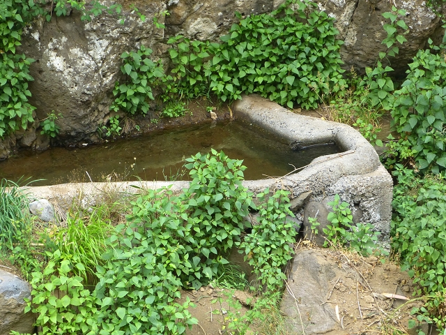 24.07.2014 Levada do Canico and Levada dos Tornos (south) — Side trip to the Reservatorio do Porto Novo — photo 7